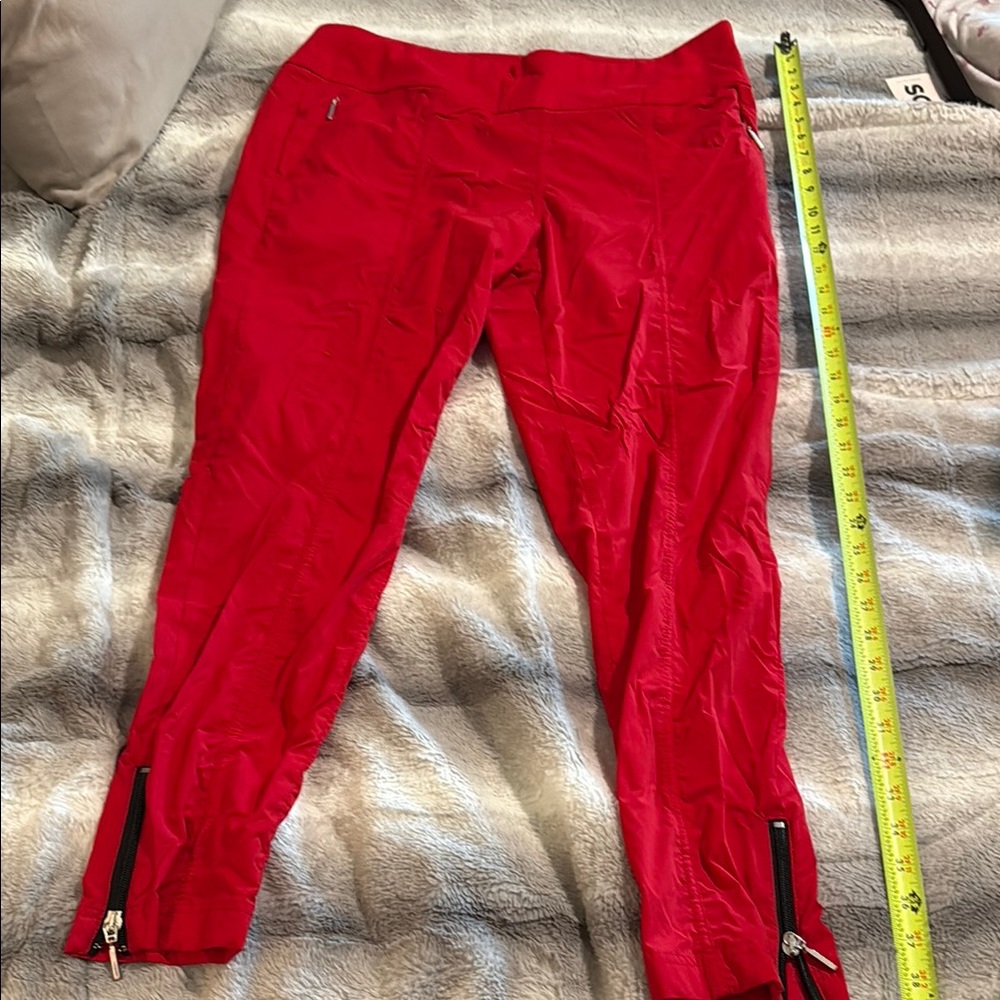 Anatomie Red Straight Leg Pants! Pristine!